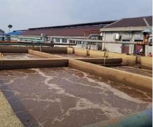 出水氨氮大于進(jìn)水氨氮，怎么回事？