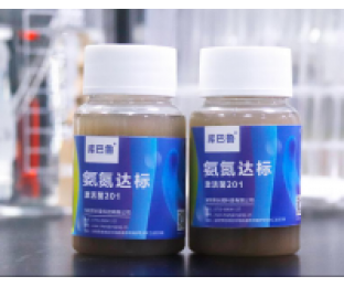 生化系統(tǒng)崩潰，氨氮超標(biāo)，我該怎么辦?